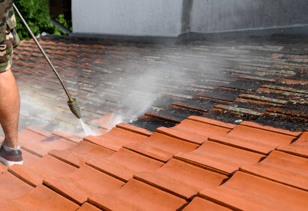 Best Residential Pressure Washing Services  in Helemano, HI